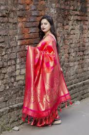 Saree 18